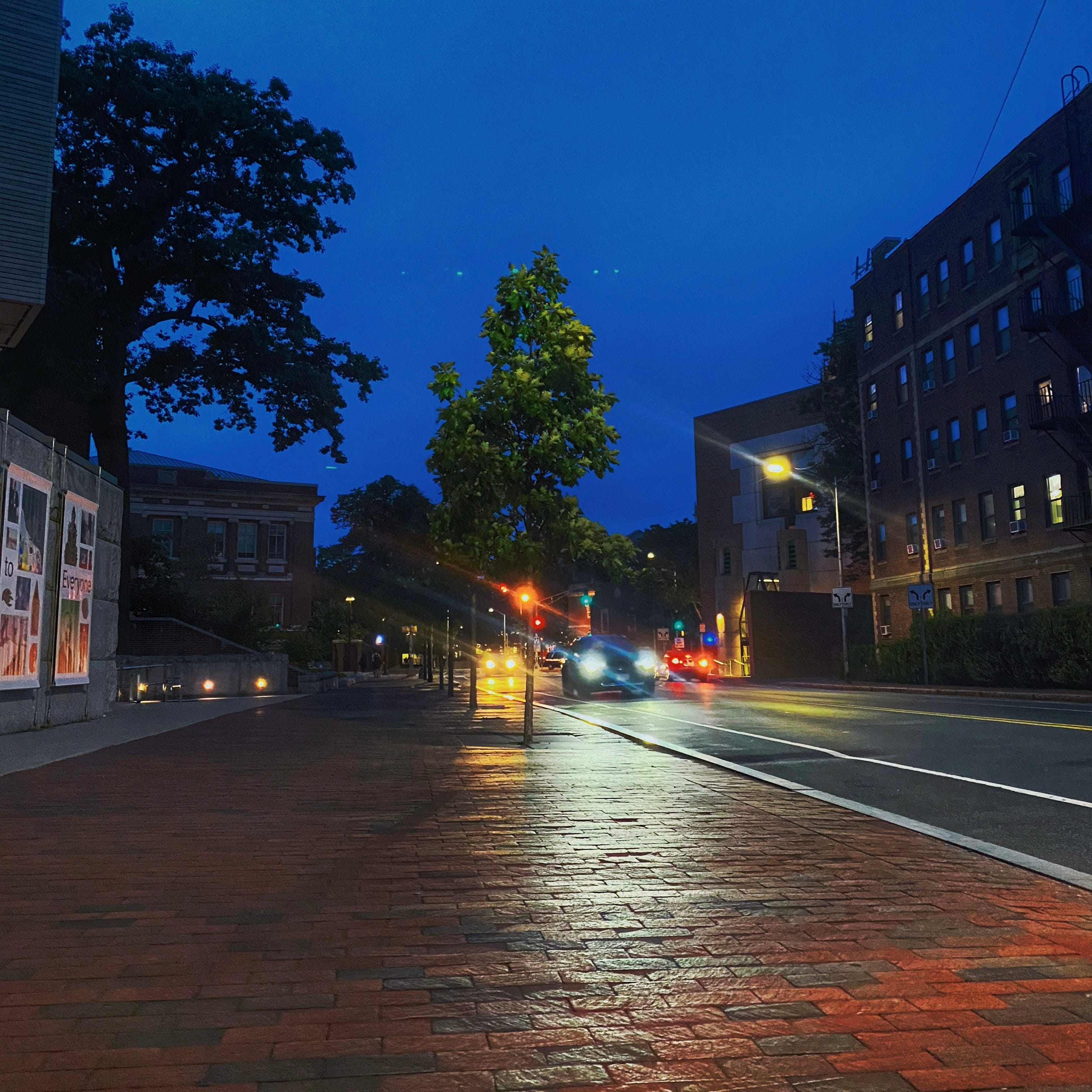 A picture I took between crying sessions next to the Harvard Art Museums. Shows the red brick payment and deep blue night sky as cars drive by.