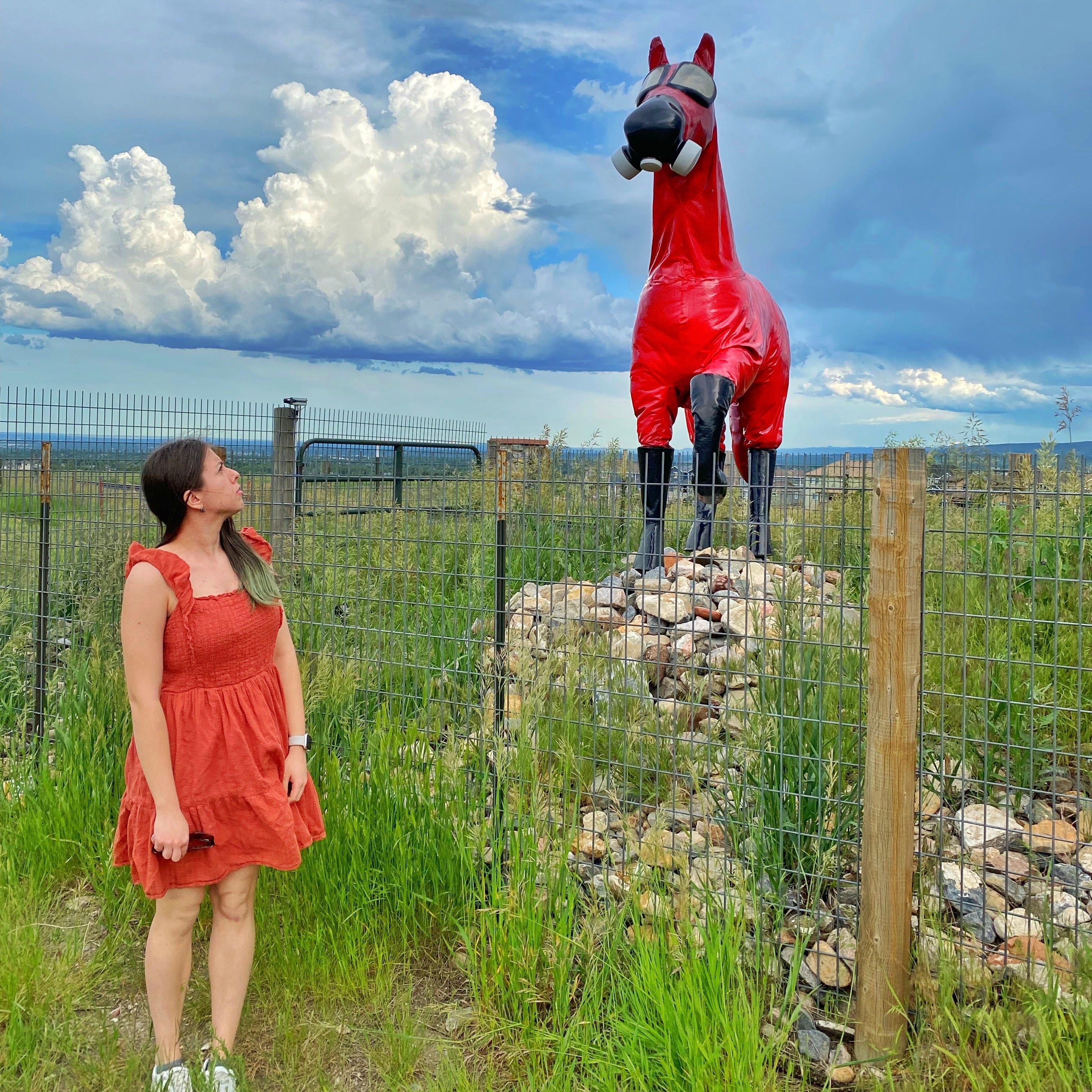A photo of Mariya Delano in a bright green field staring up at a statue of a horse in red gas mask and suit.