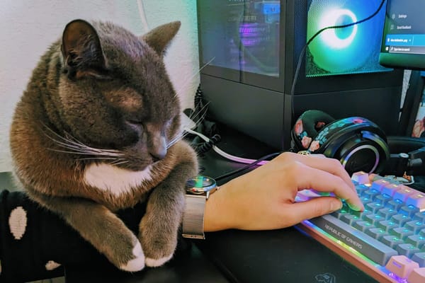 A photo of a gray cat cutely sleeping on a woman's arm as she types on an awesome rainbow keyboard.